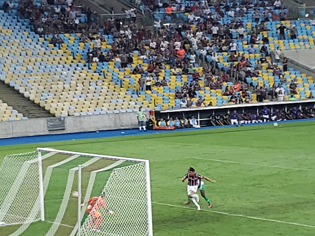 File:Fluminense 4–1 Atlético Nacional 23 05 2019.jpg