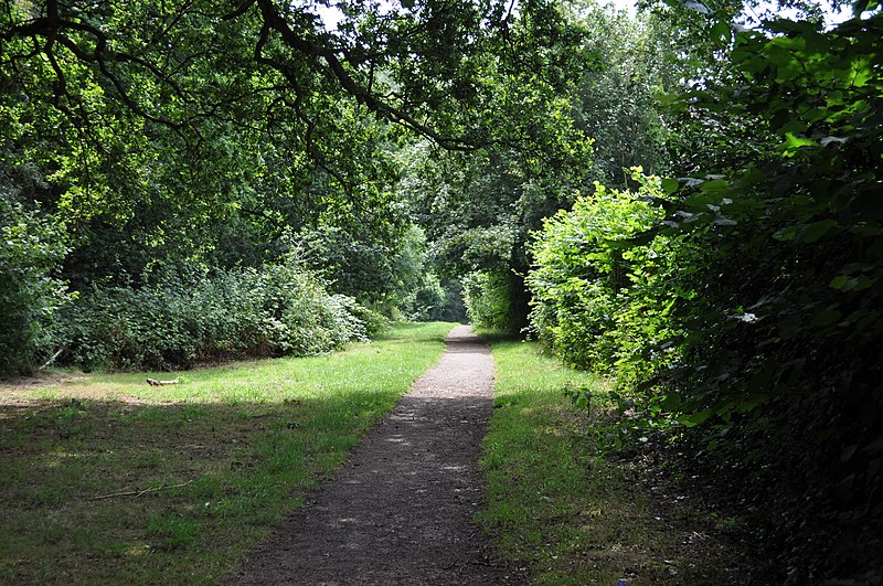 File:Footpath through Park Redding Woods - geograph.org.uk - 1976175.jpg