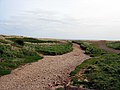 Footpath to Crimdon Dene beach - geograph.org.uk - 1298415.jpg