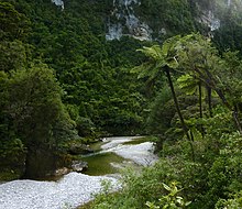 Fox River- Paparoa National Park Fox River- Paparoa National Park, New Zealand.jpg