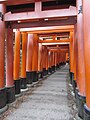 Fushimi-Inari-taisha sembon-torii