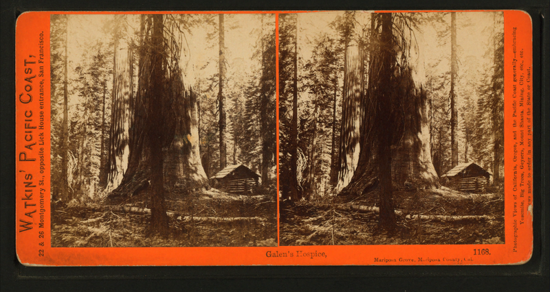 File:Galen's Hospice, Mariposa Grove, Mariposa County, Cal, by Watkins, Carleton E., 1829-1916 7.png