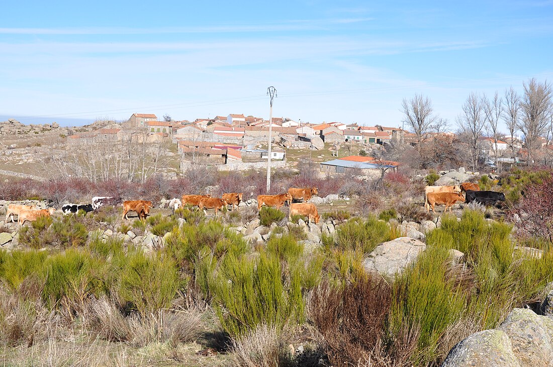 Gallegos de Altamiros