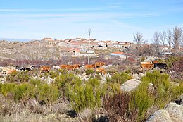 Gallegos de Altamiros - Vue