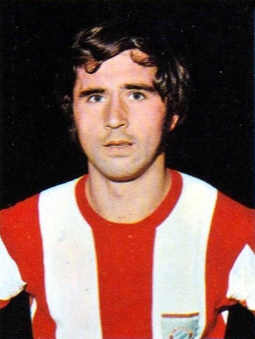 Gerd Muller displayed on a 1973 football card