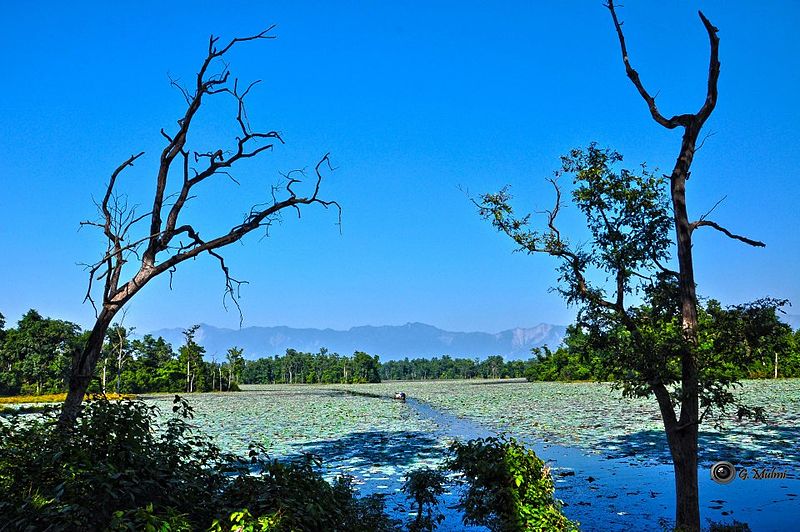 File:Ghodaghodi Lake, Kailali.jpg