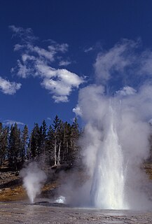 Vent Geyser geyser in Yellowstone National Park