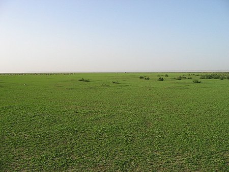 Hafar Al-Batin in Spring 001.JPG