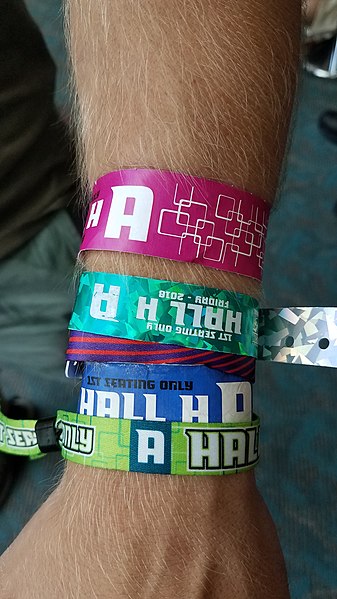 File:Hall H line wristbands.jpeg