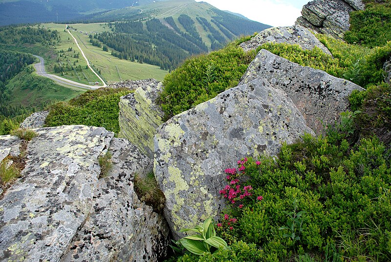 File:Handalm Blöcke Vegetation Ausblick.jpg