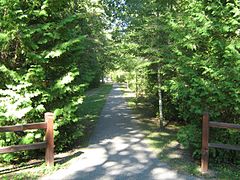 Harrisville state park path 02.jpg