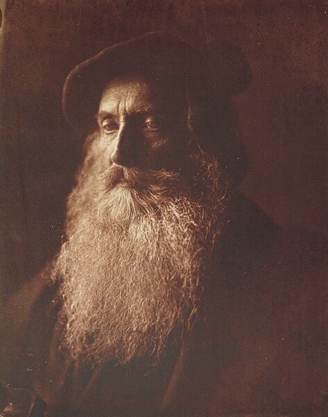 File:Henry Taylor, by Julia Margaret Cameron, M198111190001.jpg