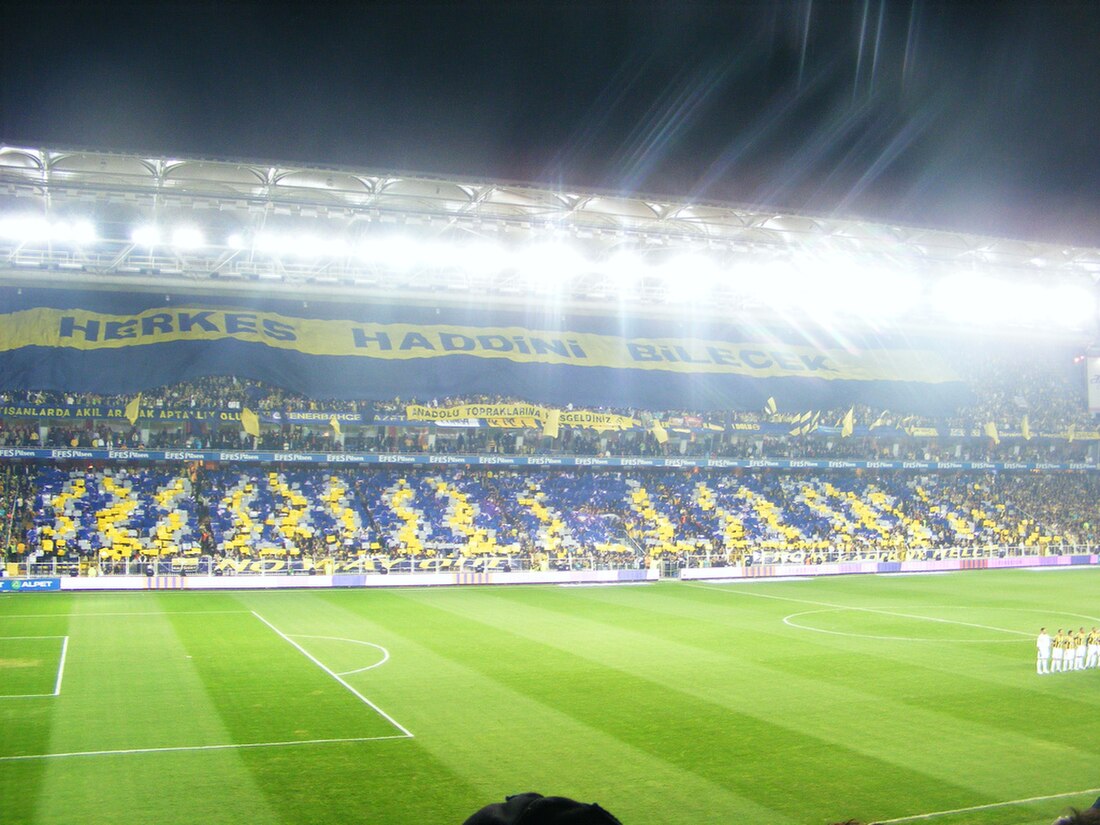 Fenerbahçe Spor Kulübü