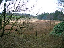 Hessilhead curling ponds.JPG