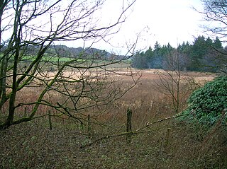 <span class="mw-page-title-main">Hessilhead Loch</span> Drained freshwater loch in North Ayrshire, Scotland