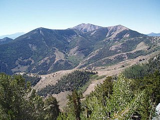 <span class="mw-page-title-main">High Schells Wilderness</span> Protected area in Nevada, United States