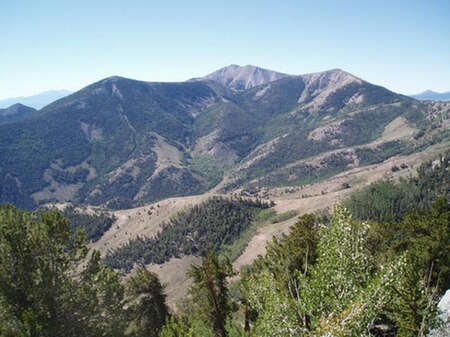 High Schells Wilderness, Nevada