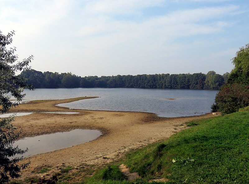 File:Hummelsbütteler Hummelsee FrühherbstE.JPG