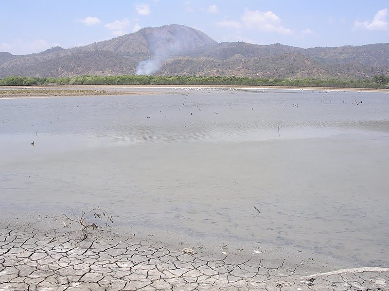 File:Hundreds of waterbirds in distance on Lake Bemalae 21 Sep 2004.jpg