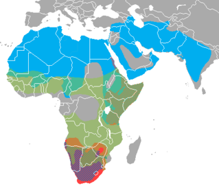 Distribución xeografica dos tres xéneros: En verde: Crocuta; en azul: Hyaena; en vermello: Proteles.