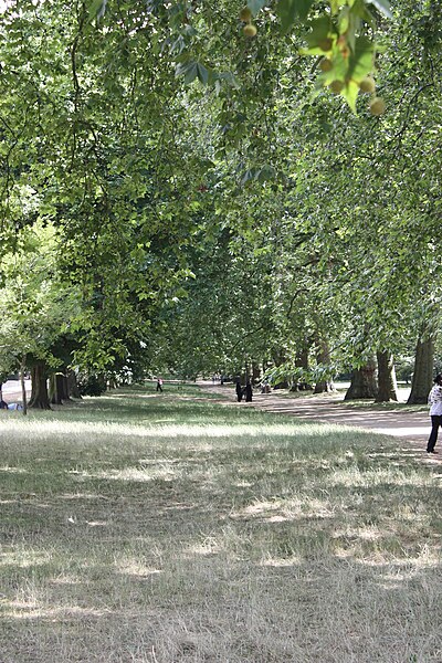 File:Hyde Park, London, July 2010 (01).JPG