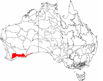 The IBRA regions, with Mallee in red IBRA 6.1 Mallee.png