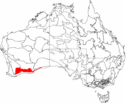 The IBRA regions, with Mallee in red