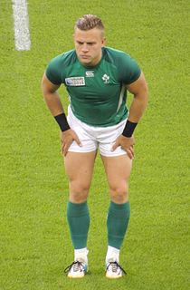 Ian Madigan Rugby player