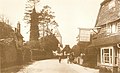 Ifield Street, 1905