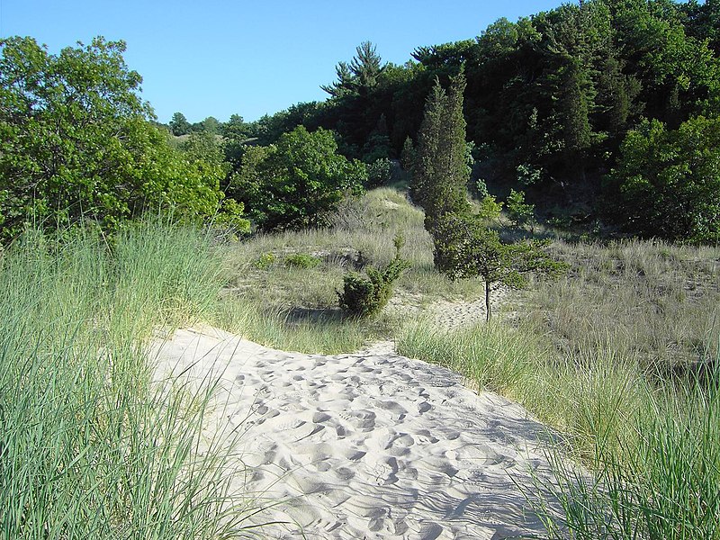 File:Indiana Dunes-State-Park-02.jpg