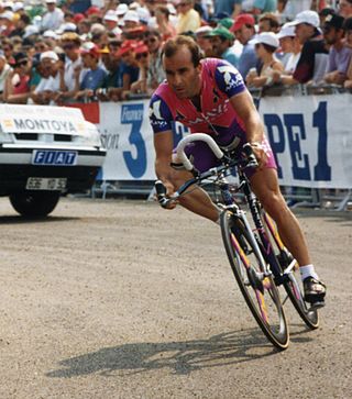 <span class="mw-page-title-main">Jesús Montoya</span> Spanish cyclist