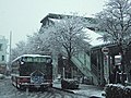 2007年11月1日 (木) 14:06時点における版のサムネイル