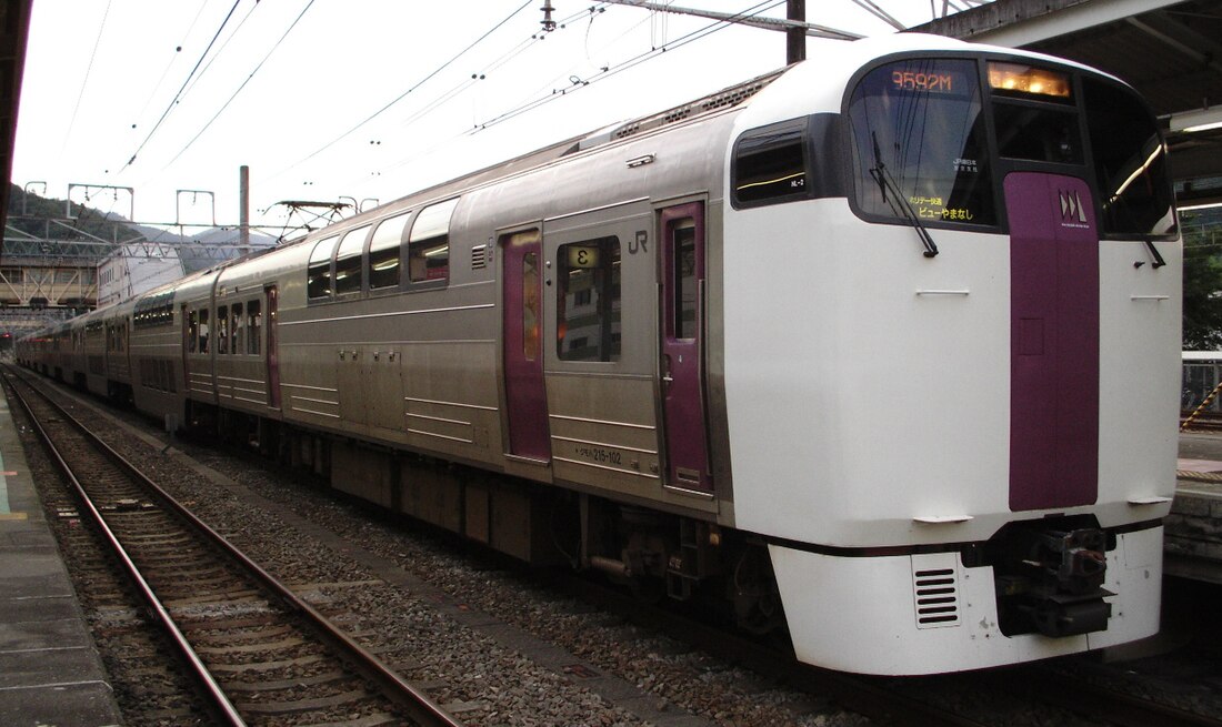 Holiday Rapid View Yamanashi