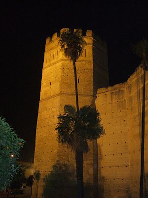 Jerez de la Frontera-Torre Octógona de noche.jpg