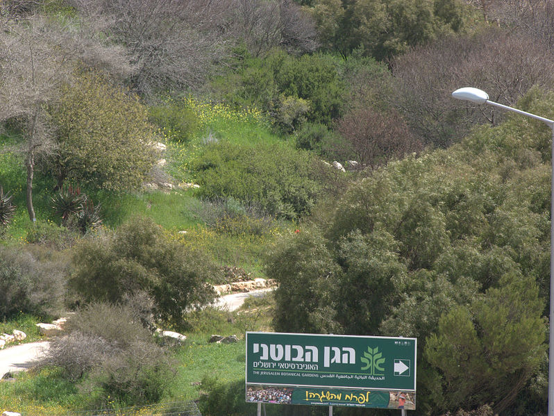 File:Jerusalem Botanical Garden-2 (7029150353).jpg