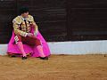 Miniatura para José Garrido (torero)