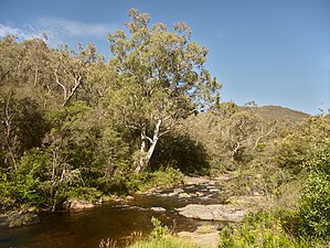 Jounama Creek