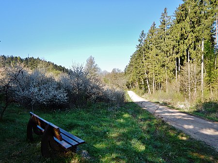 Jungbrunnental panoramio