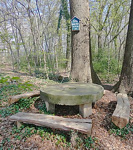 The royal oak or King George's oak