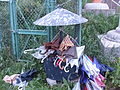 ウミネコの糞の被害を避けるために傘が置いてある（2010年6月）