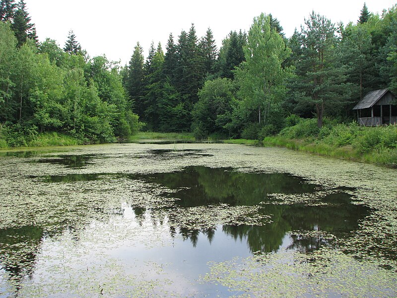 File:Kalus'kyi district, Ivano-Frankivs'ka oblast, Ukraine - panoramio (10).jpg