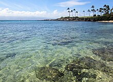 Klares Wasser in der Kapalua Bucht im Norden Mauis