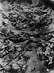 Katyn Massacre - Mass Graves 2.jpg