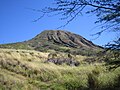 Koko Head (Wikipedia) on Oahu