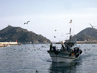 <span class="mw-page-title-main">Haenam County</span> County in Honam, South Korea