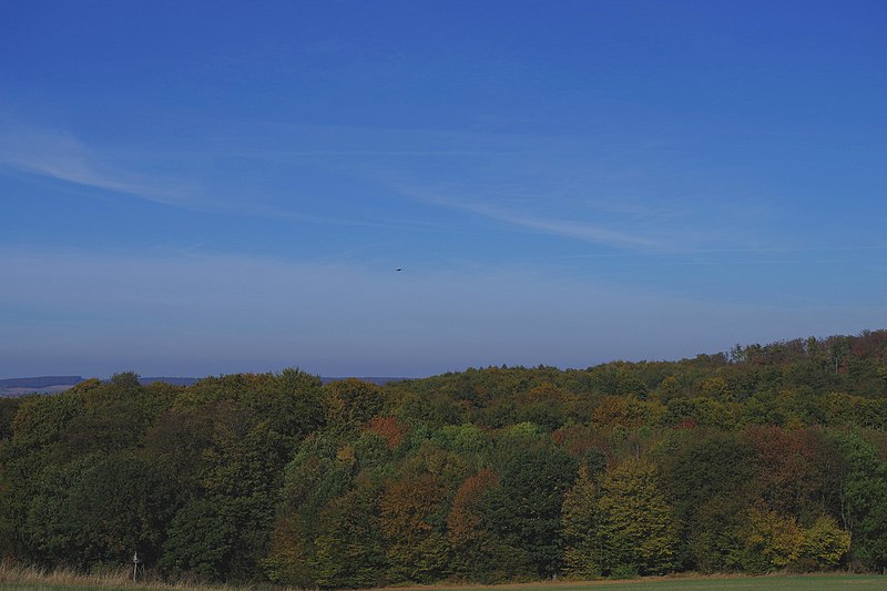 File:LSG HM 31 Süd-Deister - Weg von Eimbeckhausen zum Deister (10).jpg