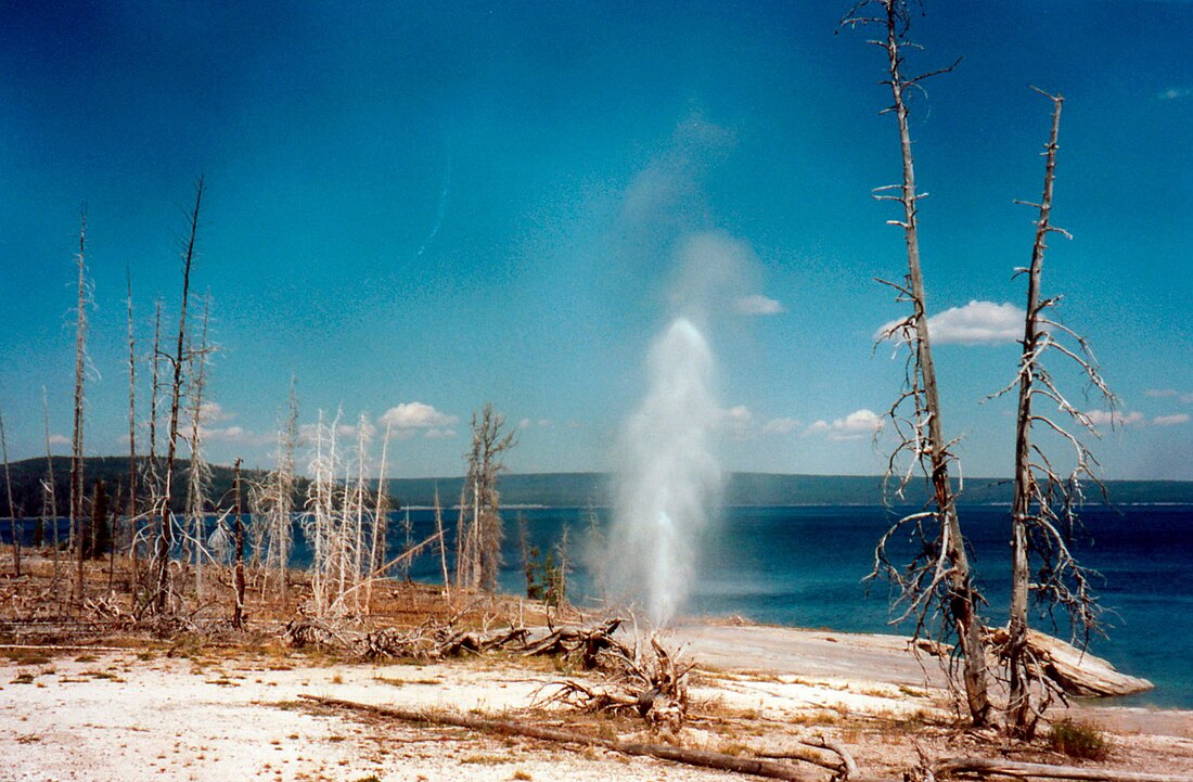 West-Thumb-Geysir-Becken