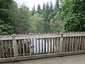 Lower Oswego Creek Bridge