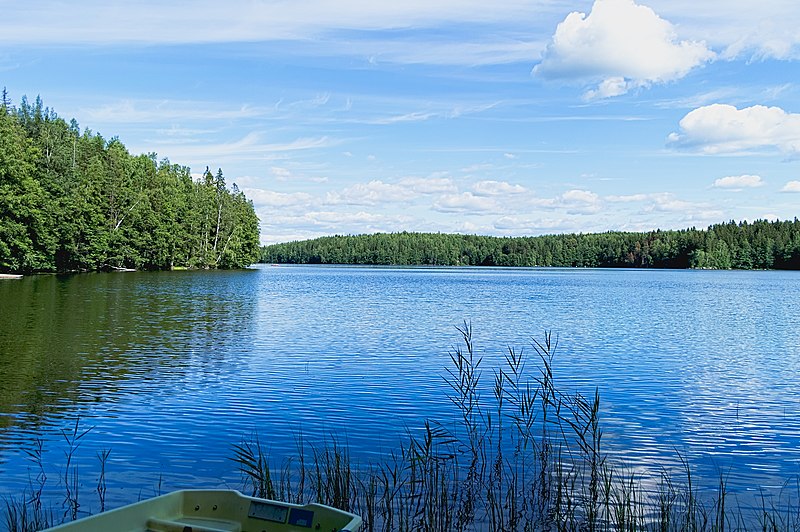 File:Lake Särkijärvi at Lahdesjärvi.jpg