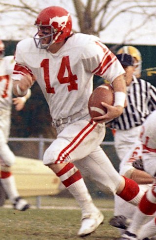 <span class="mw-page-title-main">Larry Lawrence (gridiron football)</span> American gridiron football player (born 1949)